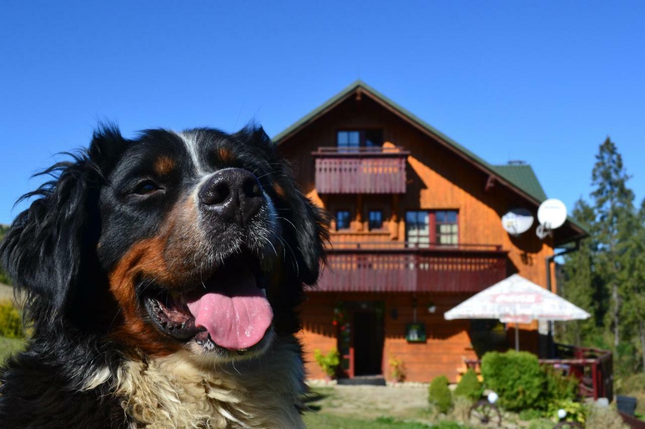 Penzion Dinda Stará ľubovňa Exterior foto